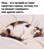 23647