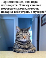23689