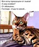 23690