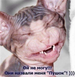 23787
