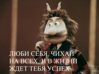 23795