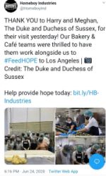 23981