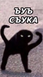 24978