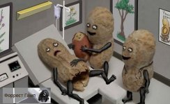 25256