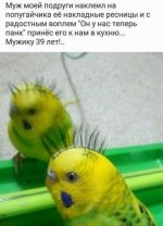 27342