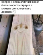 27528