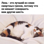 27557