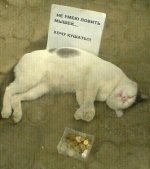 27559