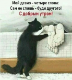28456
