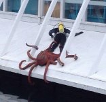 IMG_20201028_173955.jpg