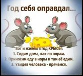 IMG_20201029_221538.jpg
