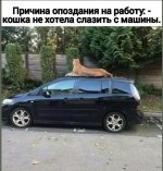 IMG_20201105_212030.jpg