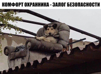 29271