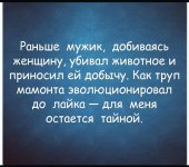 IMG_20201114_184700.jpg