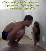 29431