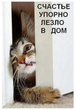 1606720985894.png