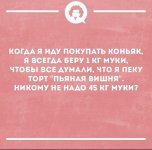 95686B72-8B67-4FE1-8BCC-C6E79CD9E413.jpeg