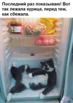 1607069288703.png