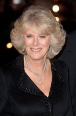 Camilla-orm-halsband-700x1066.jpg