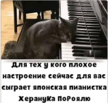 1607301262220.png