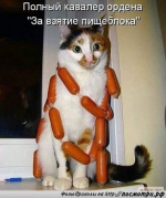 1607502099808.png