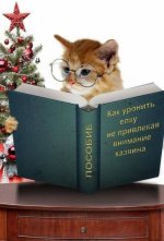 20201210_162925.jpg