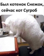 1607783517422.png