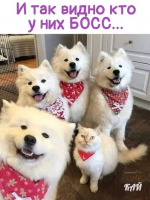 1607805413697.png