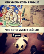 1607842985896.png