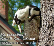 1607973934333.png