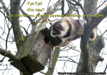1607974046926.png