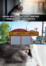 1607975501015.png