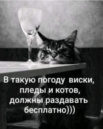 1608008268677.png