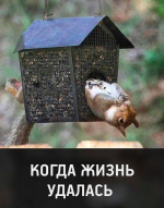 1608060672293.png