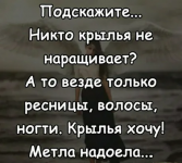 1608087213007.png
