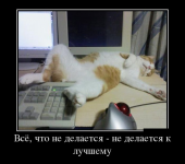 1608116000965.png