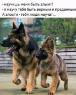 1608197040835.png
