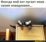 1608309749125.png