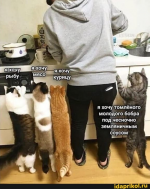 1608310485724.png