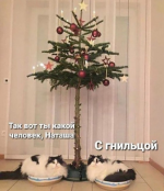 1608411771737.png