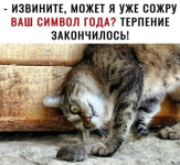 1608452884212.png