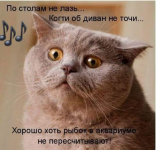 1608452947133.png