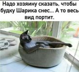 IMG_20201220_180527.jpg
