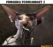 1608540470337.png