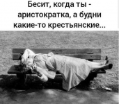 1608633558421.png