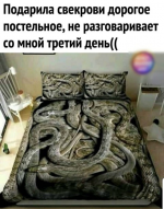 1608788822773.png