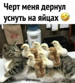 1608790814556.png