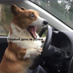 1608881585420.png