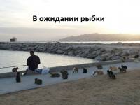1608881865538.png