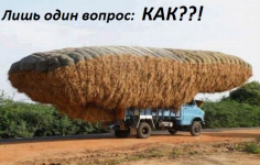 1608882021147.png